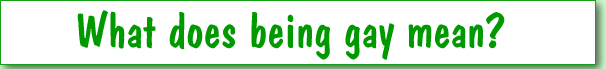 What does being gay mean?