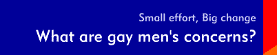 Small Effort, Big Change: What are gay men's concerns?