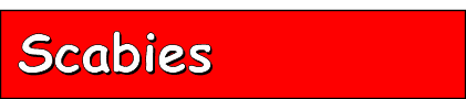 Scabies