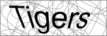 Validation image -- please turn on images to continue