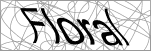 Validation image -- please turn on images to continue
